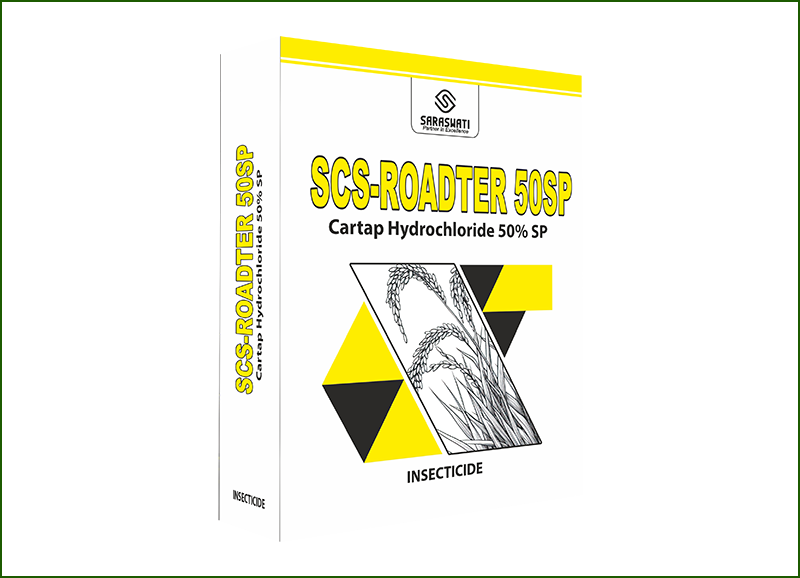 Manufacturer of SCS-ROADTER 50 SP in Ahmedabad
