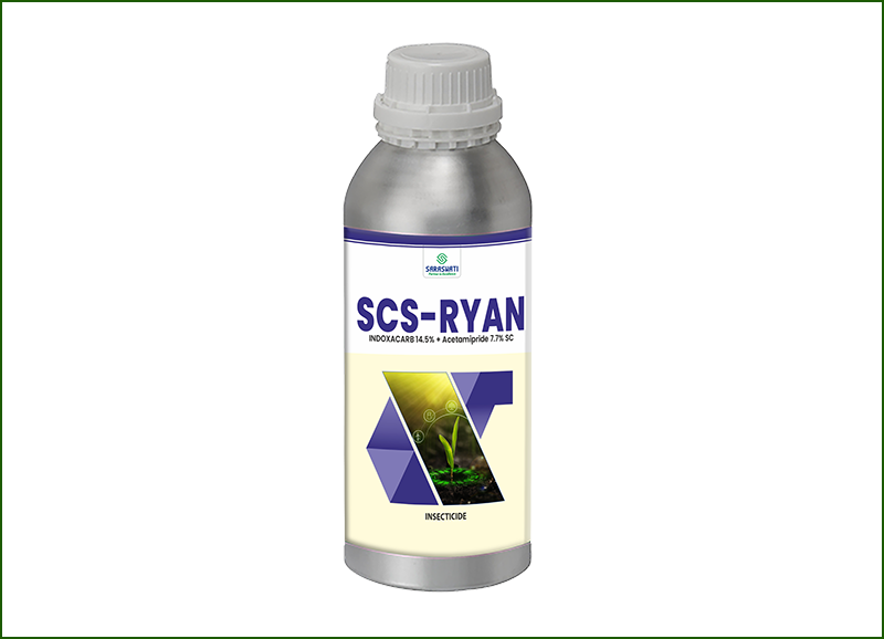 Manufacturer of SCS-RYAN in Ahmedabad