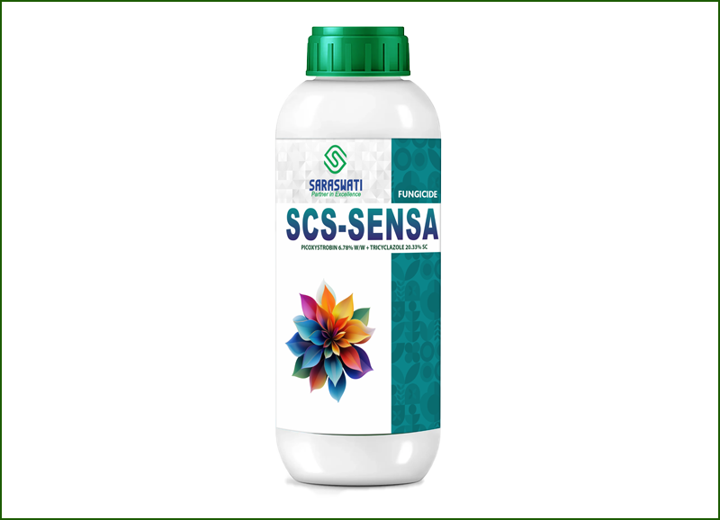 Manufacturer of SCS-SENSA in Ahmedabad