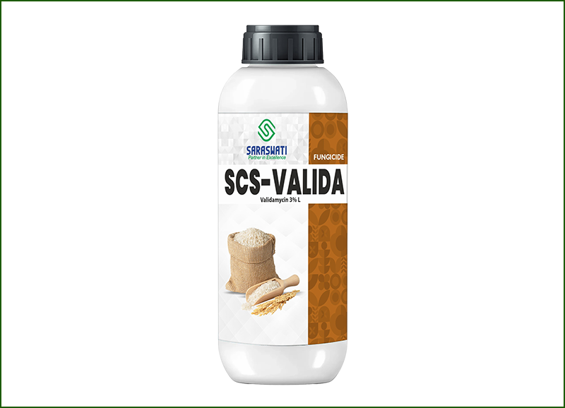 Manufacturer of SCS-VALIDA in Ahmedabad