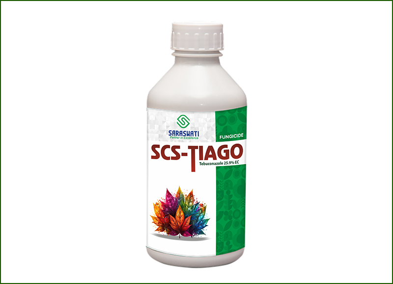 Manufacturer of SCS-TIAGO in Ahmedabad