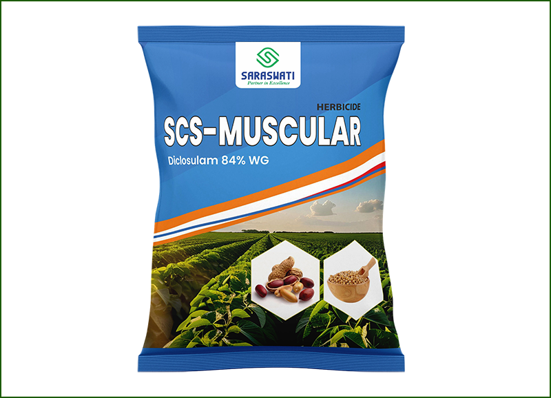 Manufacturer of SCS -MUSCULAR in Ahmedabad