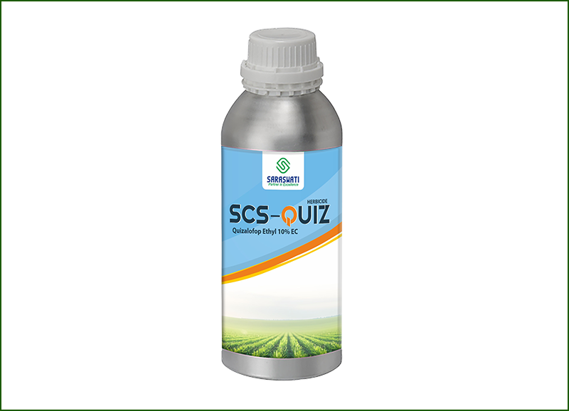 Manufacturer of SCS -QUIZ in Ahmedabad