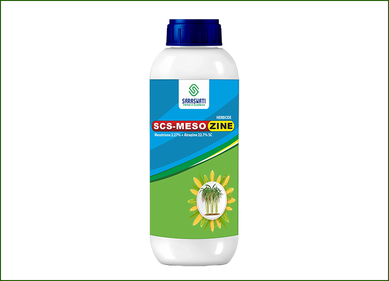 Manufacturer of SCS- MESOZINE in Ahmedabad