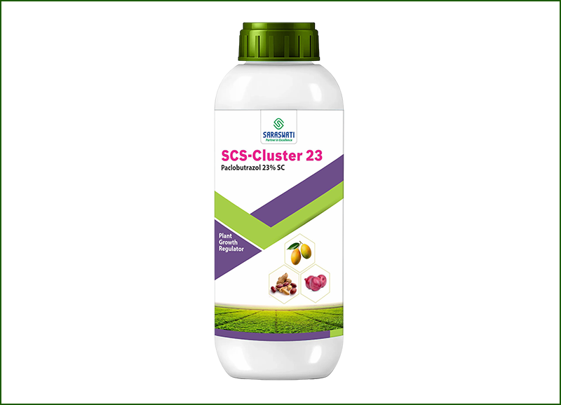 Manufacturer of SCS CLUSTER 23 in Ahmedabad